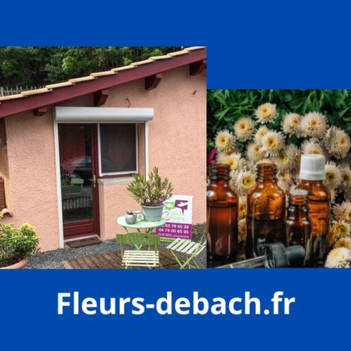 Acceuil site fleurs-debach.fr