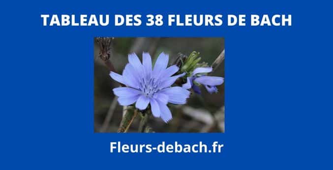tableau 38 fleurs de bach