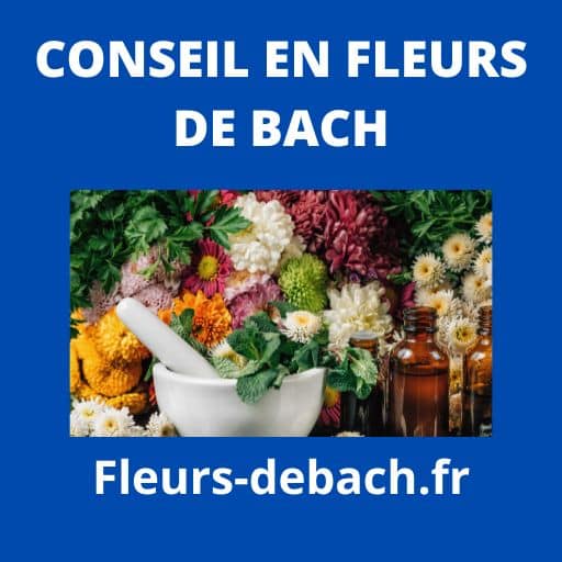 conseil en fleurs de Bach