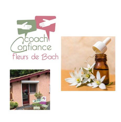 Accueil du site fleurs-debach.fr - Coach Confiance Fleurs de Bach