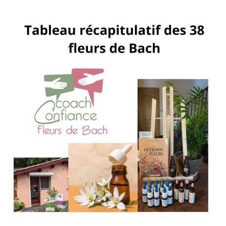 Tableau récapitulatif des 38 fleurs de Bach