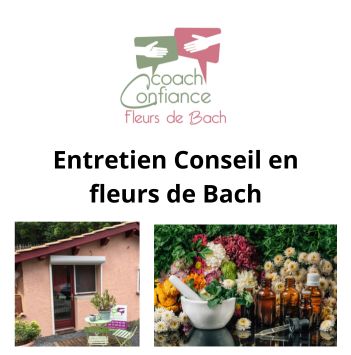 Entretien Conseil en fleurs de Bach