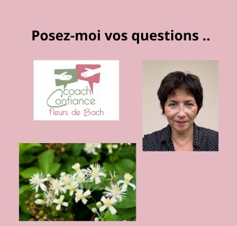 Posez vos questions sur les fleurs de Bach