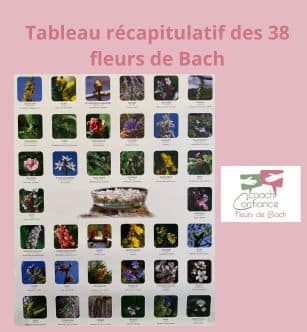 Tableau récapitulatif des 38 fleurs de Bach