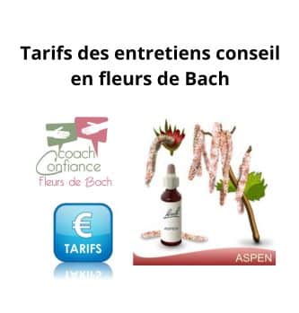 Tarifs entretiens conseil en fleurs de Bach